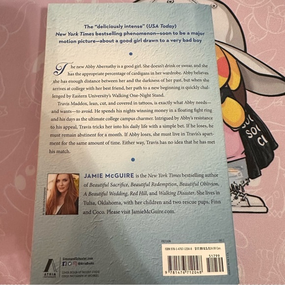 Beautiful Disaster Book - Picture 2 of 6